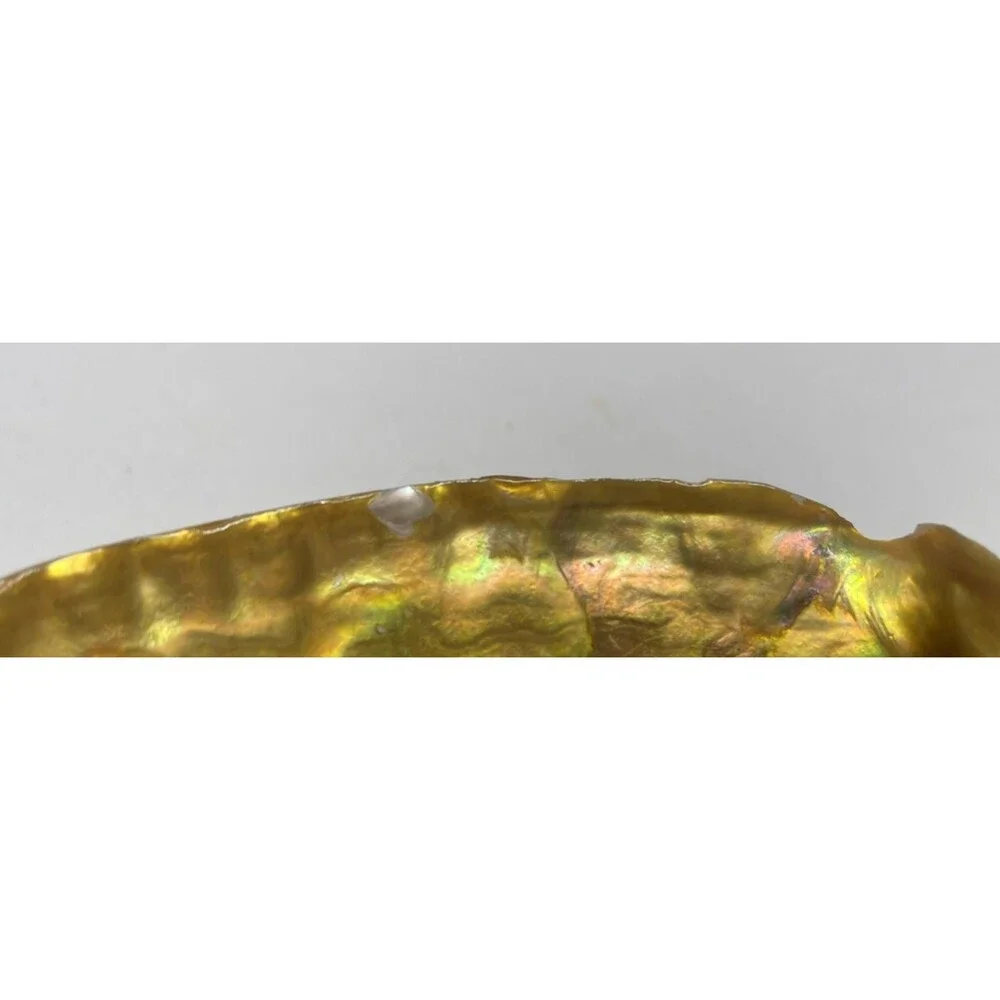 Vintage Iridescent Abalone Shell Trinket Candy Dish Footed Bowl Natural Decor